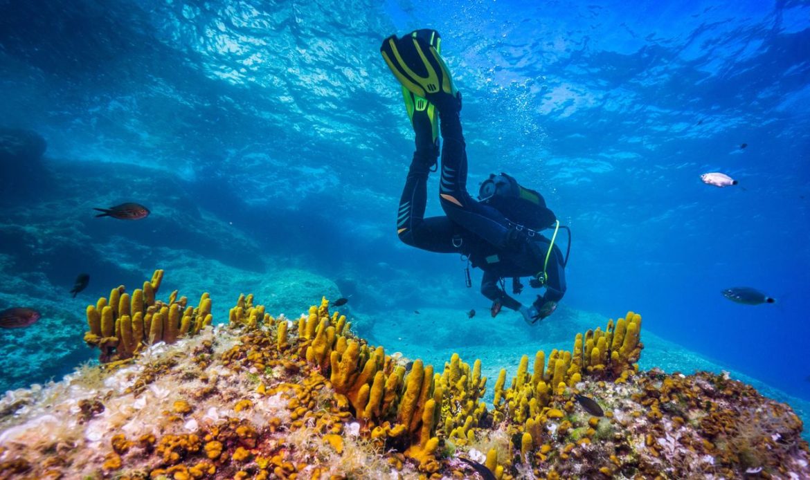Búvár a víz alatt, Balázs Norbert-Scubaschool Kaposvár, Naui Búvár oktatás és Tanfolyamok.